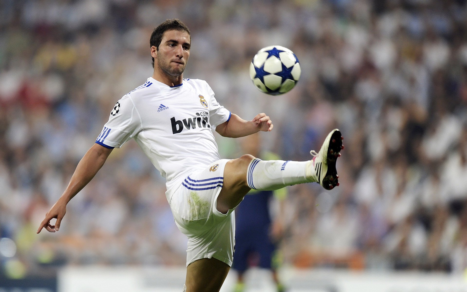 凯尔特人双核联手砍分，士气大涨，凯尔特人比赛